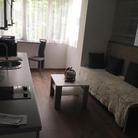 Apartment In The Center Of The Old City, Budzak 14 사라예보 외부 사진