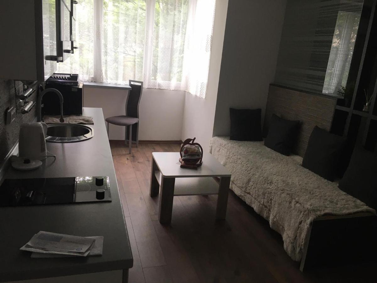 Apartment In The Center Of The Old City, Budzak 14 사라예보 외부 사진